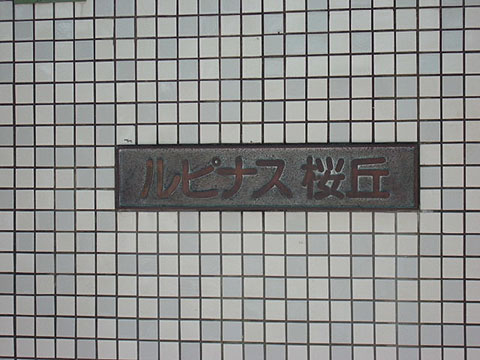 その他共用部　写真1