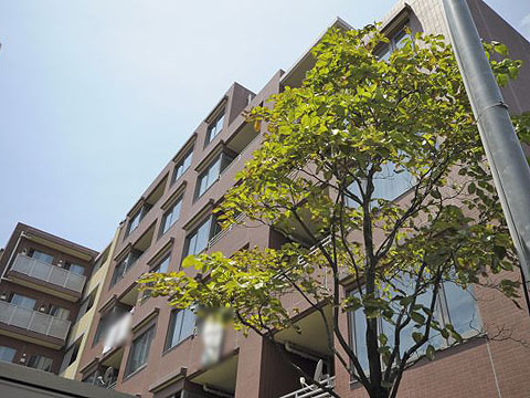 その他共用部 外観3