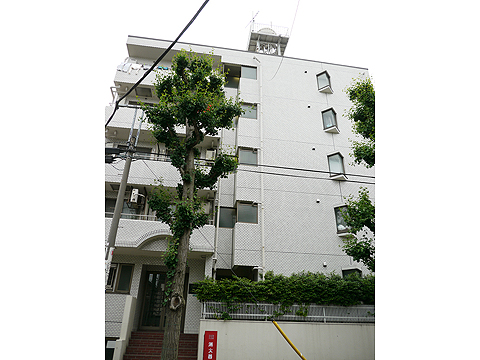 その他共用部 外観3