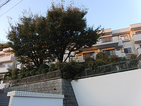 その他共用部　外観3