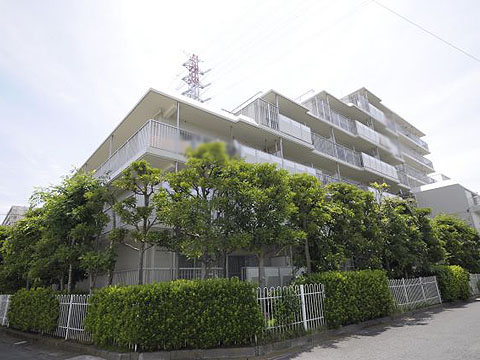 その他共用部 外観3