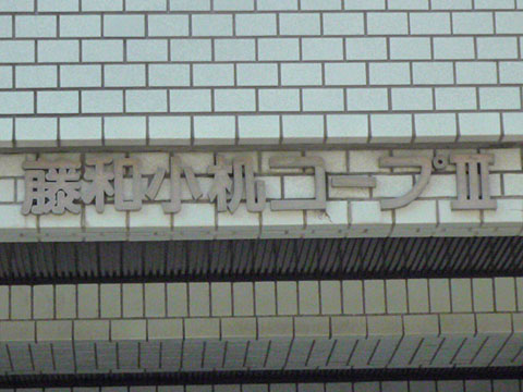 その他共用部　写真1