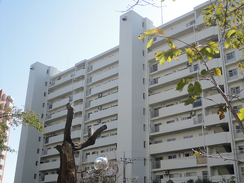 その他共用部　外観3