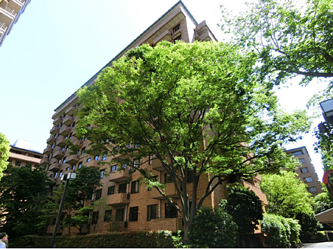 現地外観写真　サウスＦ２