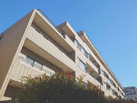 現地外観写真 外観