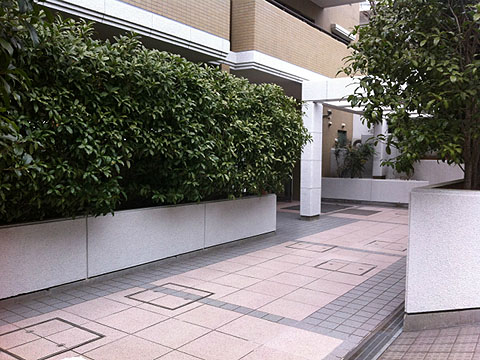 その他共用部 エントランス1