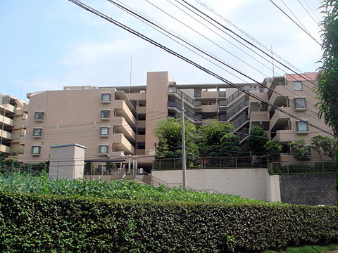 現地外観写真 外観