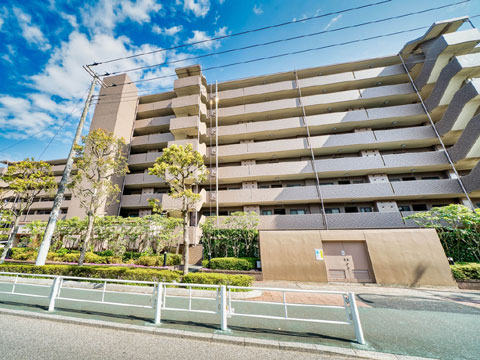 現地外観写真 外観