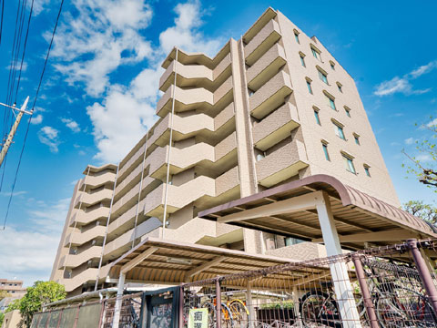 現地外観写真 外観