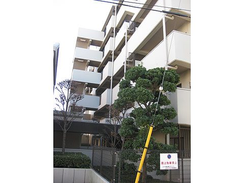 その他共用部　外観2