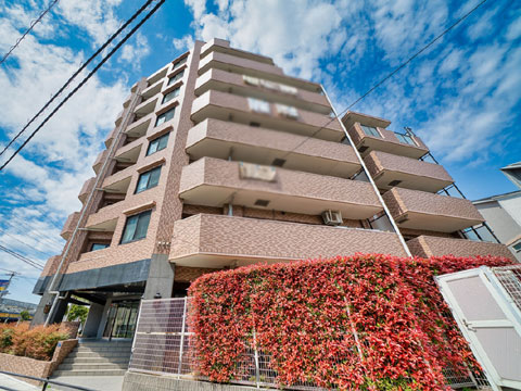 現地外観写真　外観