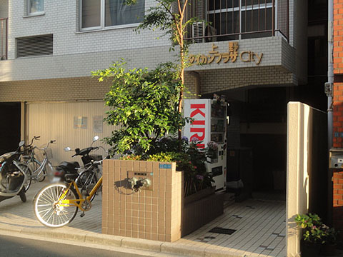 その他共用部　エントランス1