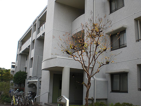 その他共用部　外観３