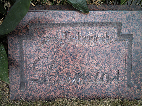 その他共用部 写真1