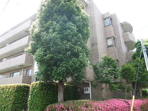 その他共用部　外観3