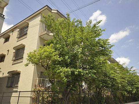 その他共用部 外観4