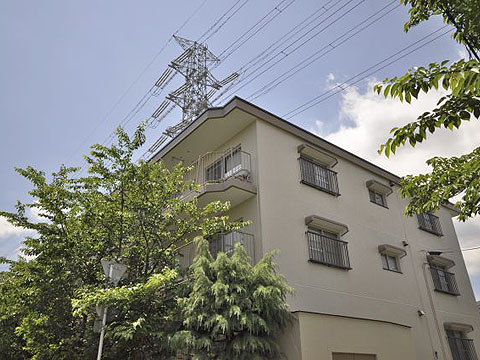 その他共用部 外観5