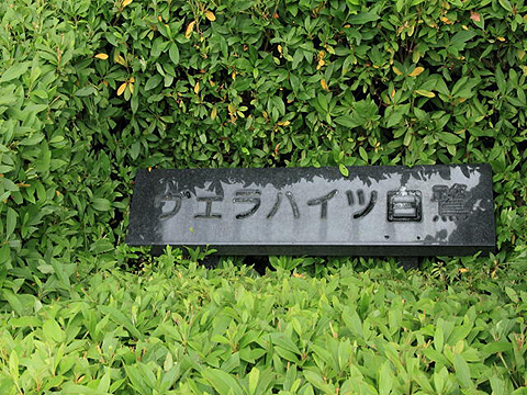 その他共用部 写真1