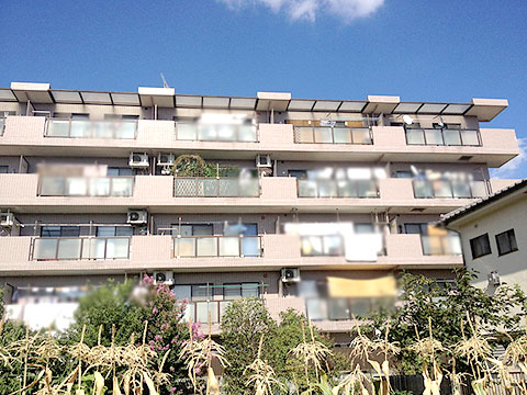 その他共用部 外観3