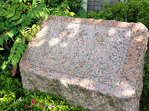 その他共用部 写真1