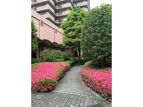 現地土地写真 共用3