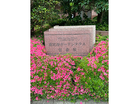 現地土地写真 名板1