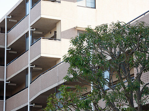 その他共用部 外観4