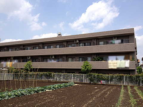 その他共用部 外観3