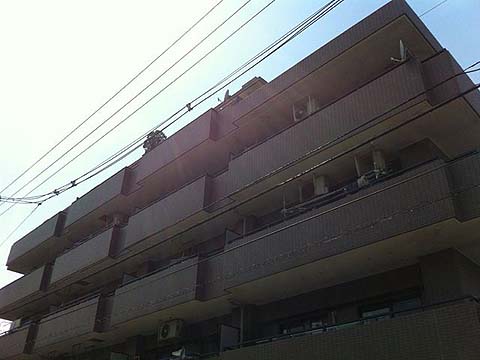 その他共用部　外観2