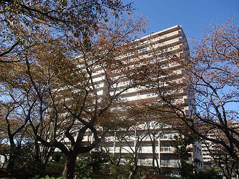 その他共用部　外観3