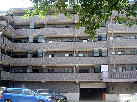 現地外観写真 外観