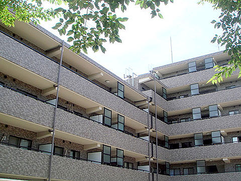 現地外観写真 外観