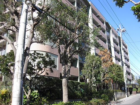 その他共用部　外観2