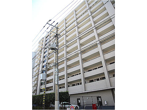 現地外観写真 外観1