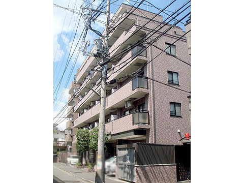 現地外観写真 外観