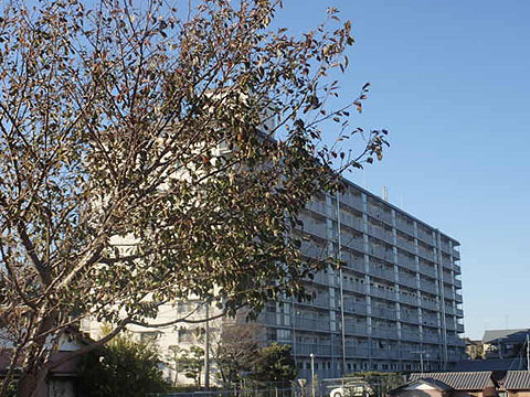 その他共用部　外観3