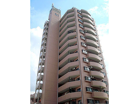 現地外観写真 外観