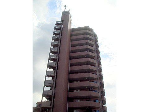 現地外観写真 外観