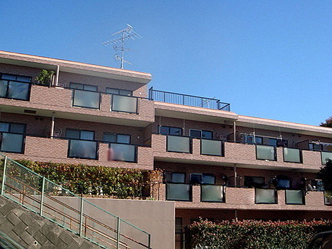 現地外観写真 外観