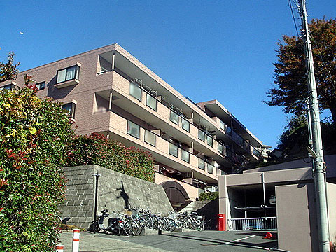 現地外観写真 外観