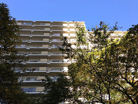 その他共用部　外観2