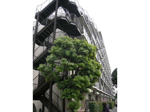 その他共用部　建物外観