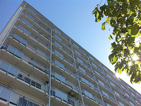 その他共用部 外観3