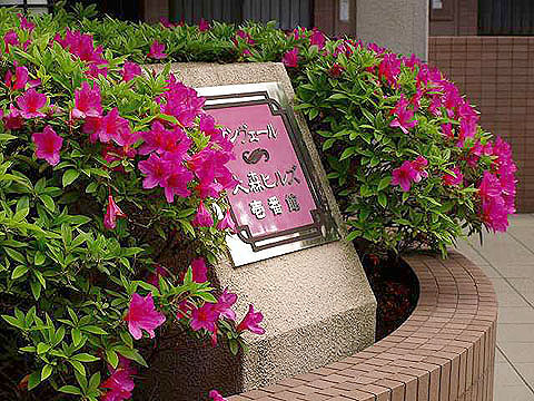 その他共用部 写真1