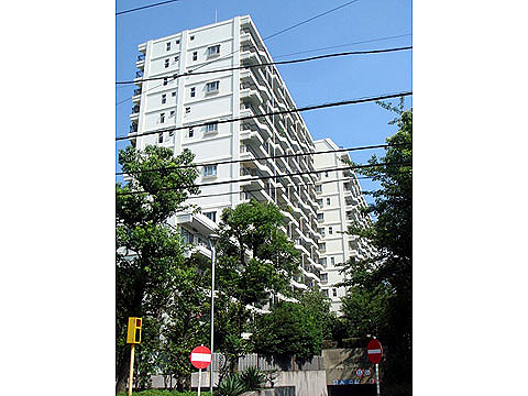 現地外観写真 外観