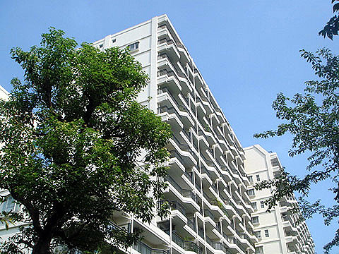 現地外観写真 外観