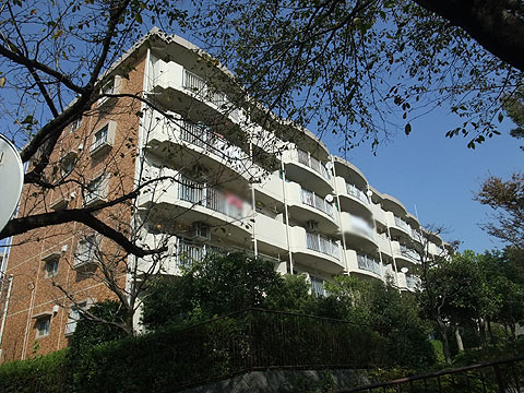 その他共用部　外観2