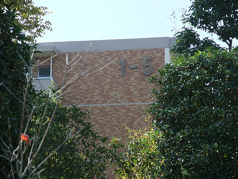 その他共用部　写真1