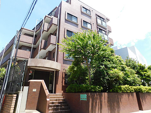 現地外観写真 外観