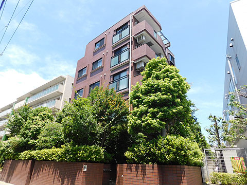 現地外観写真 外観